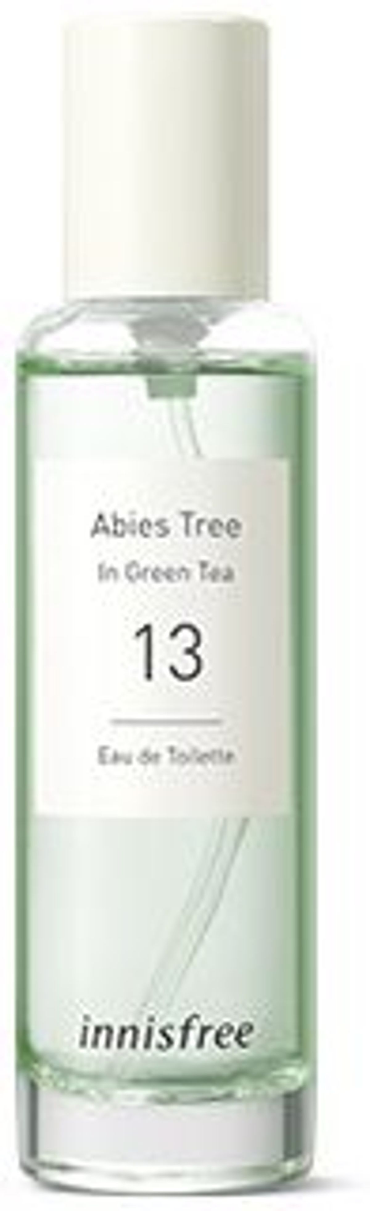 13 Abies Tree in Green Tea