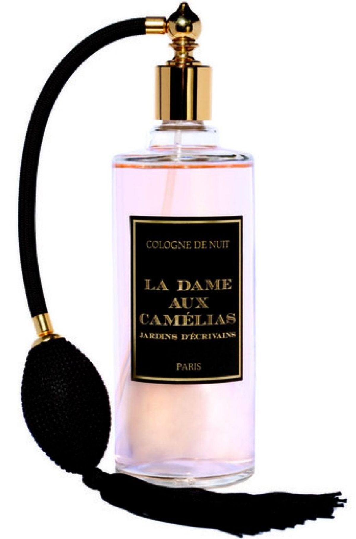 La Dame aux Camelias - Night Cologne