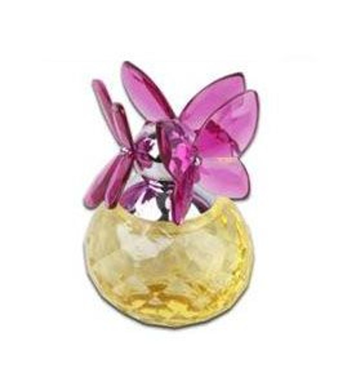 Flower Season Butterfly Dreams