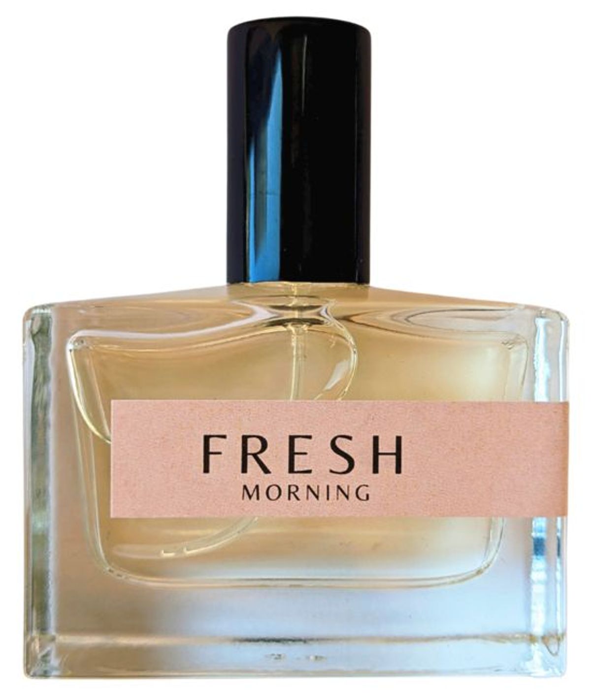 Fresh Morning