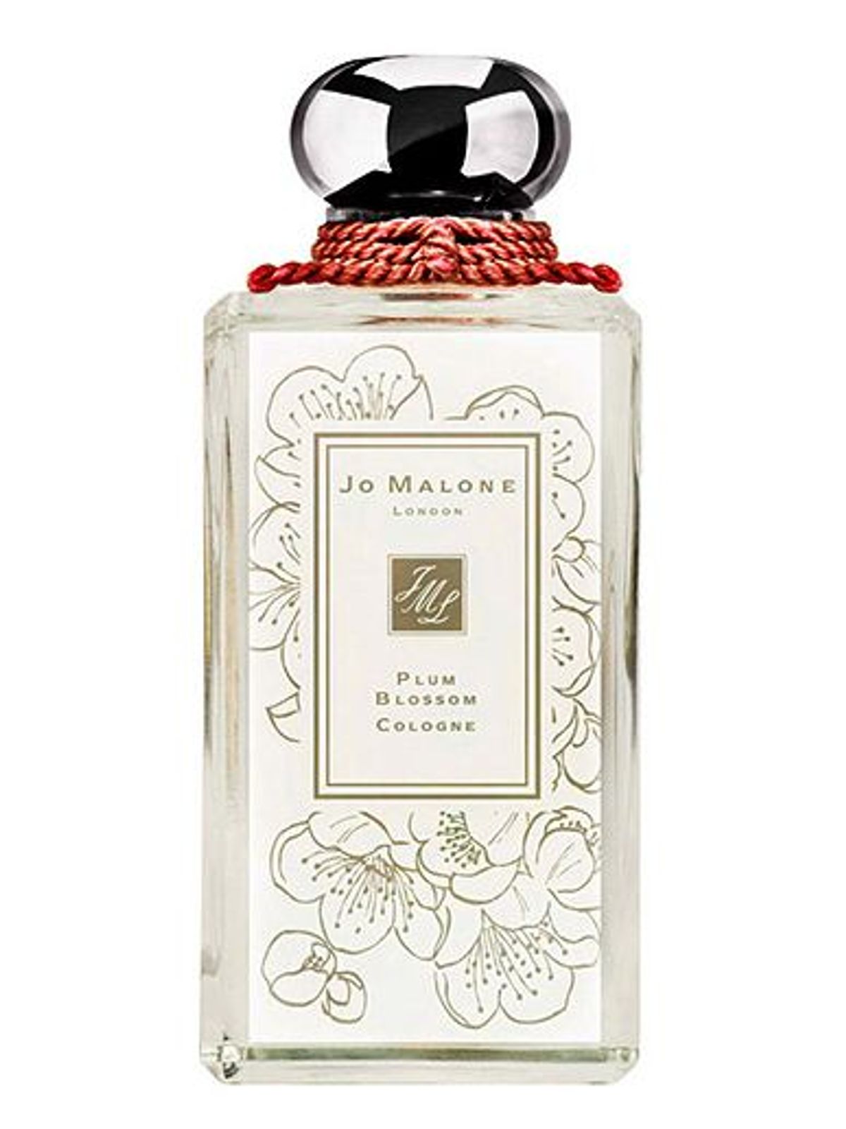 Plum Blossom