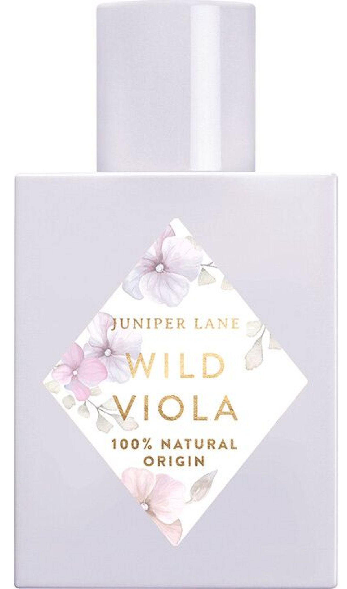 Wild Viola