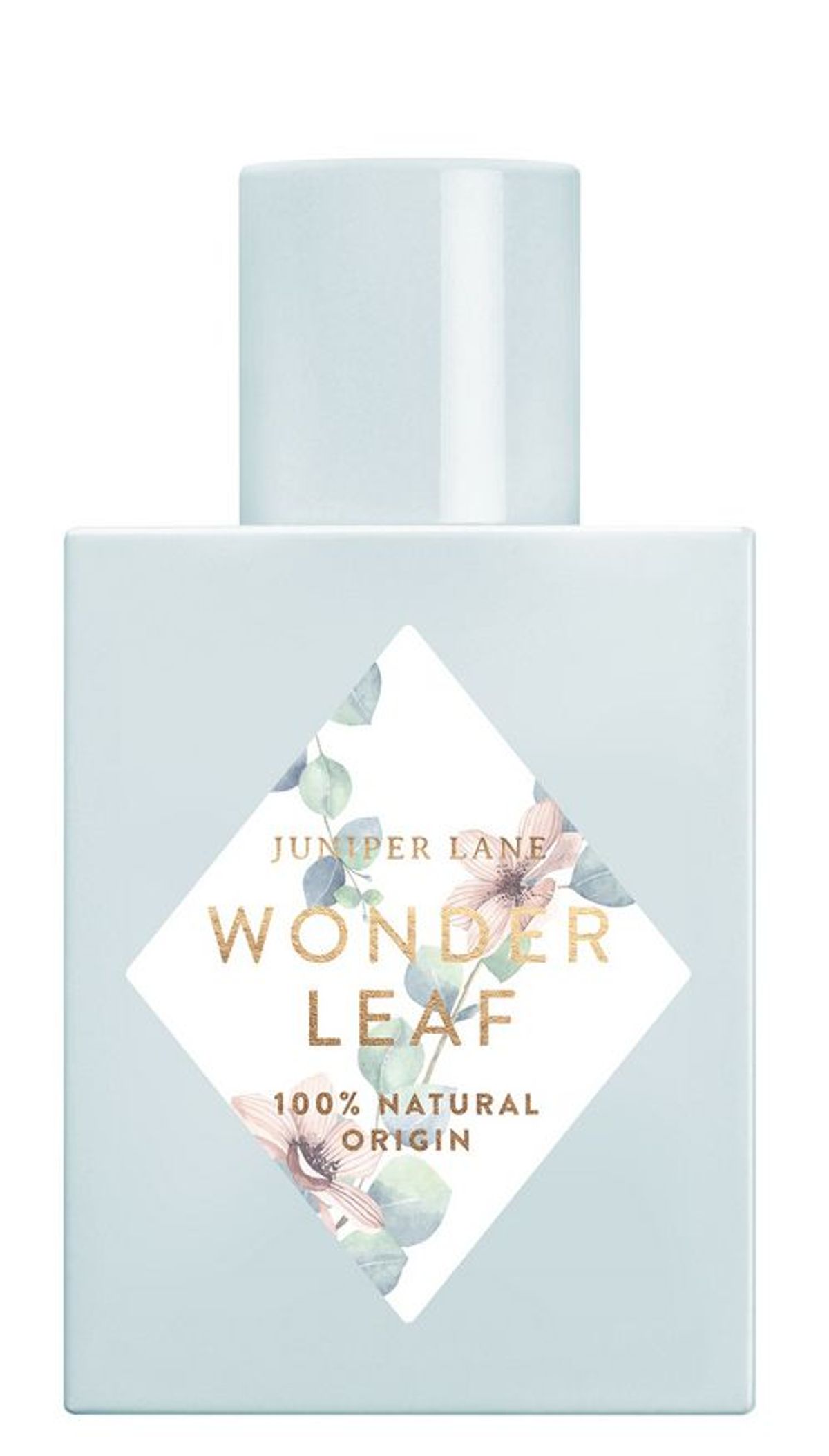 Wonder Leaf