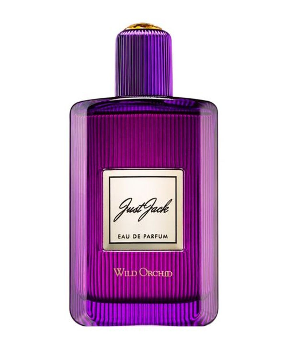 Wild Orchid