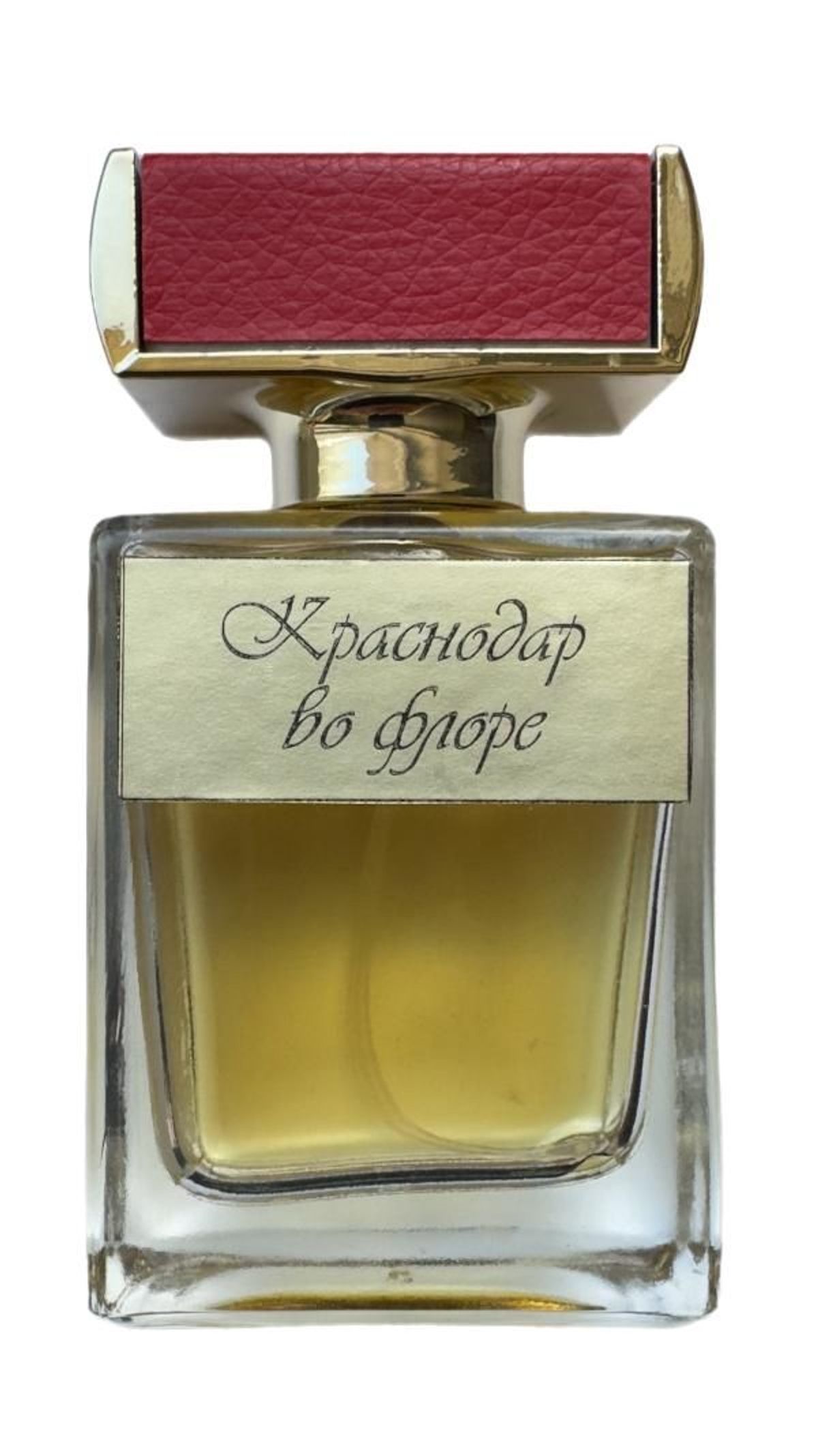 Krasnodar in flora (Краснодар во флоре)
