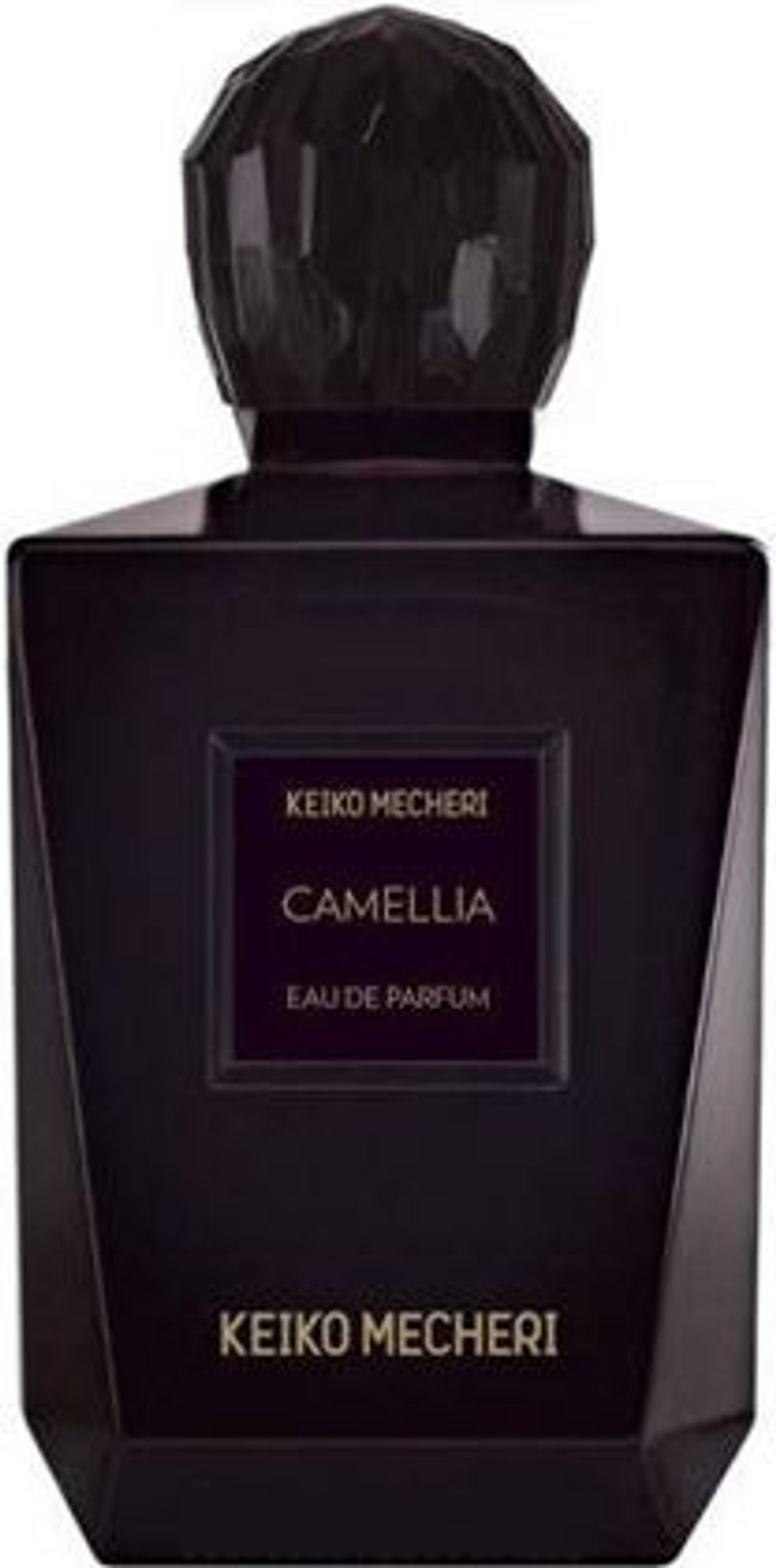 Camellia