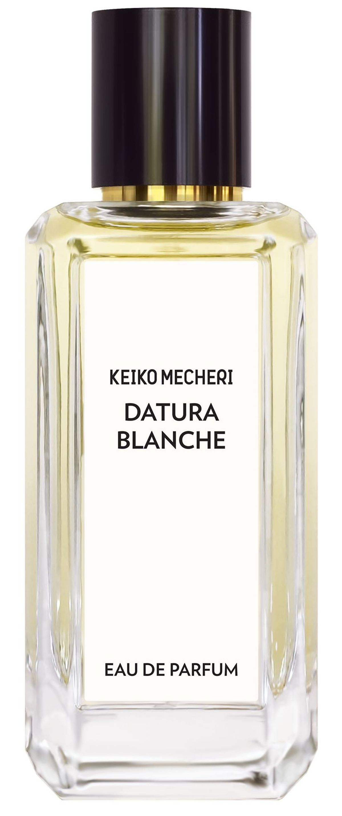 Datura Blanche