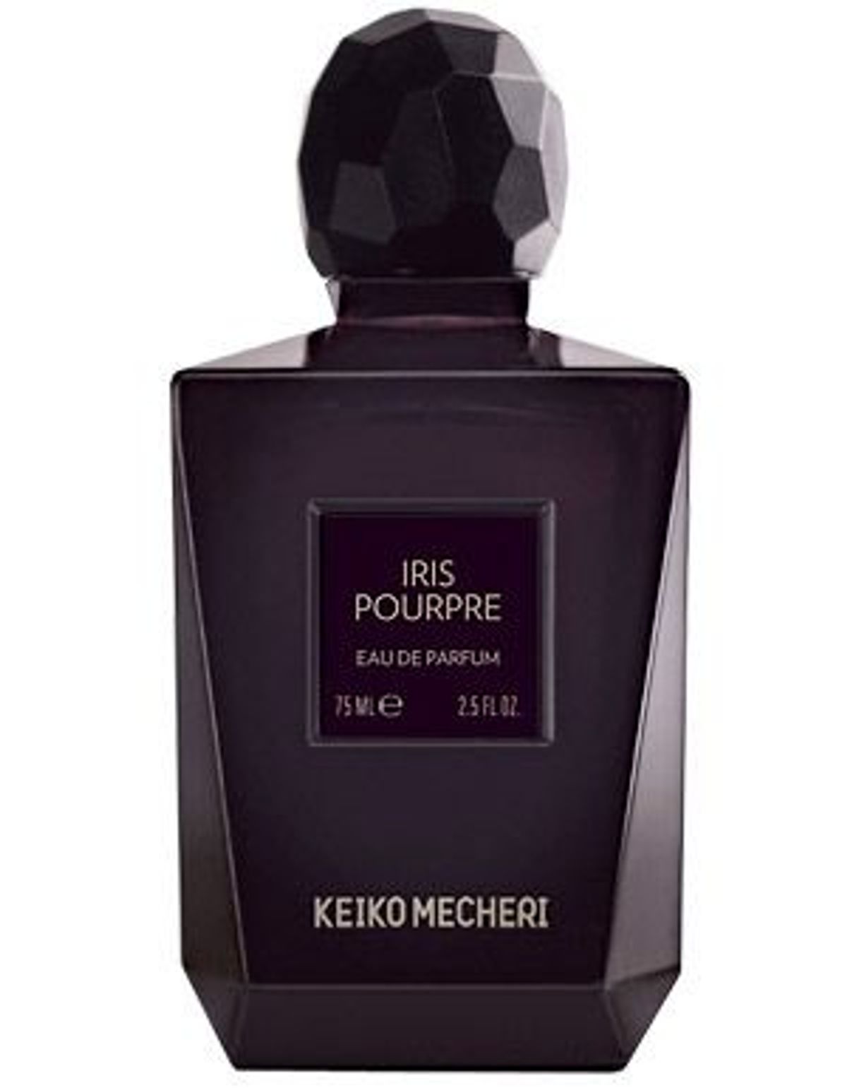 Iris Pourpre