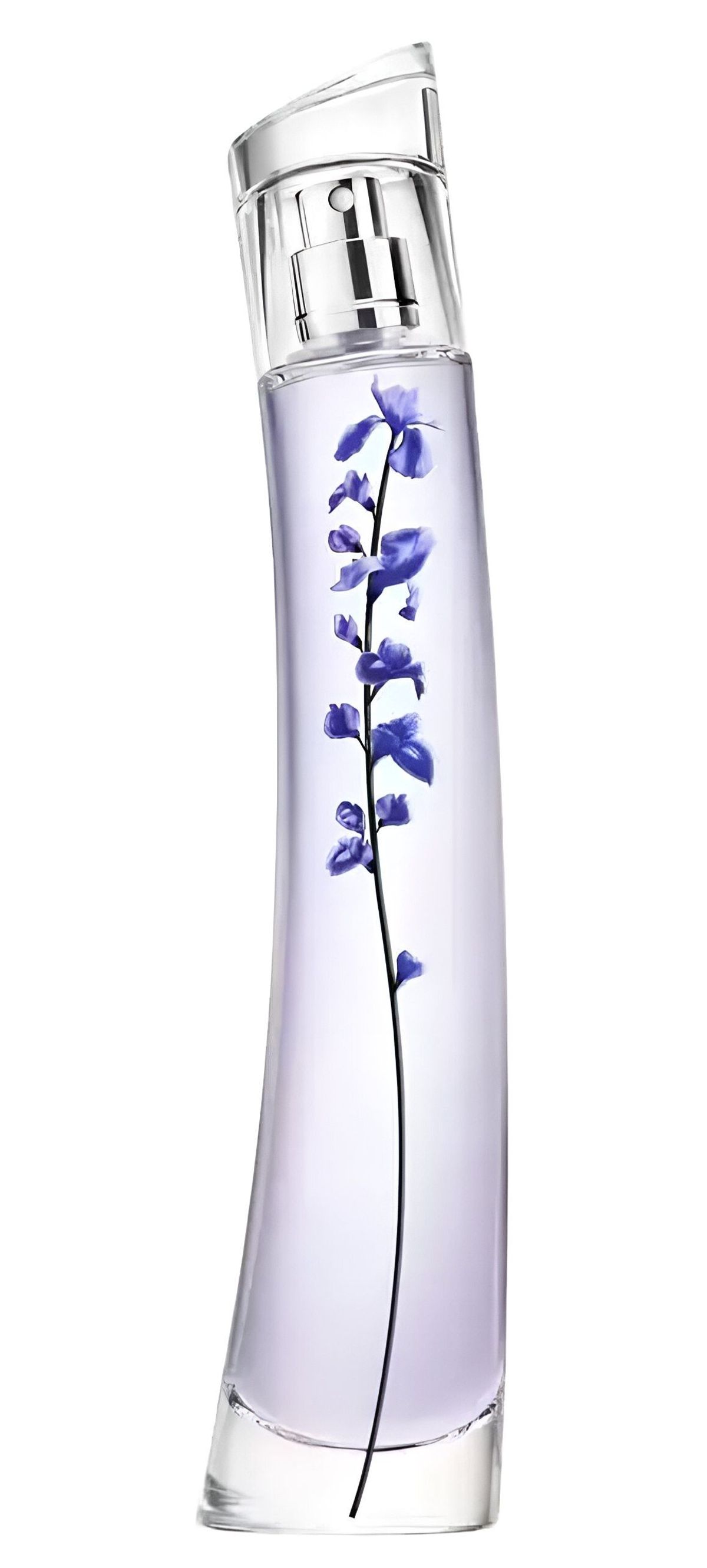 Flower Ikebana Indigo