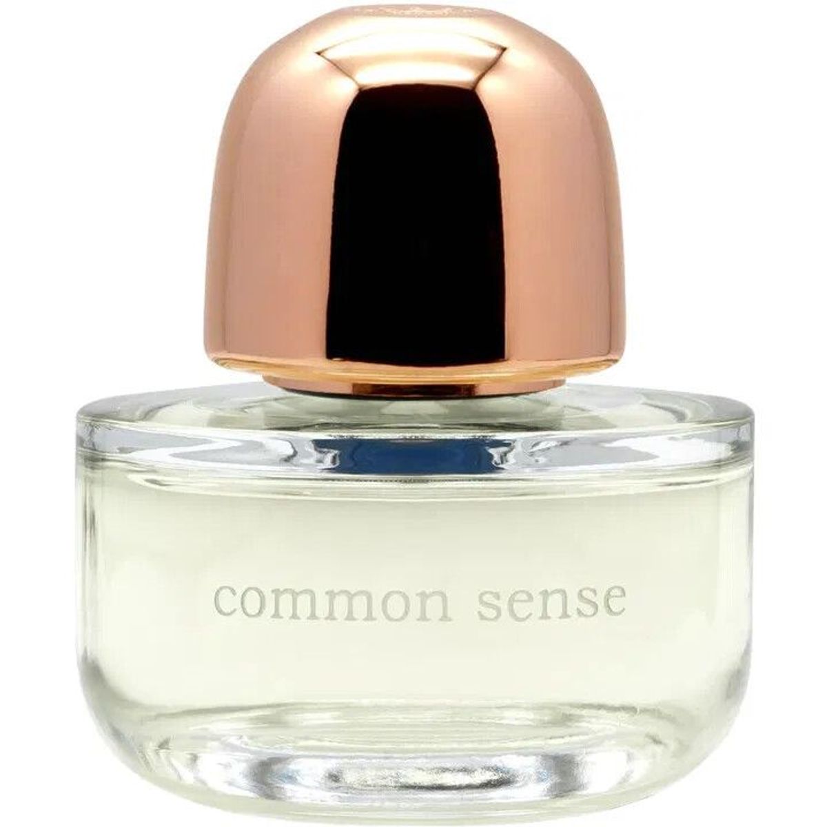Common Sense
