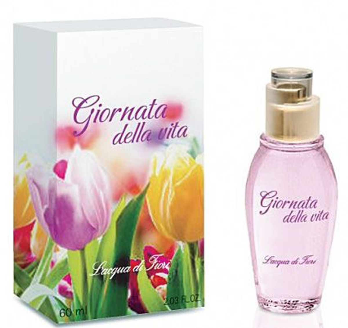 Giornata della Vita