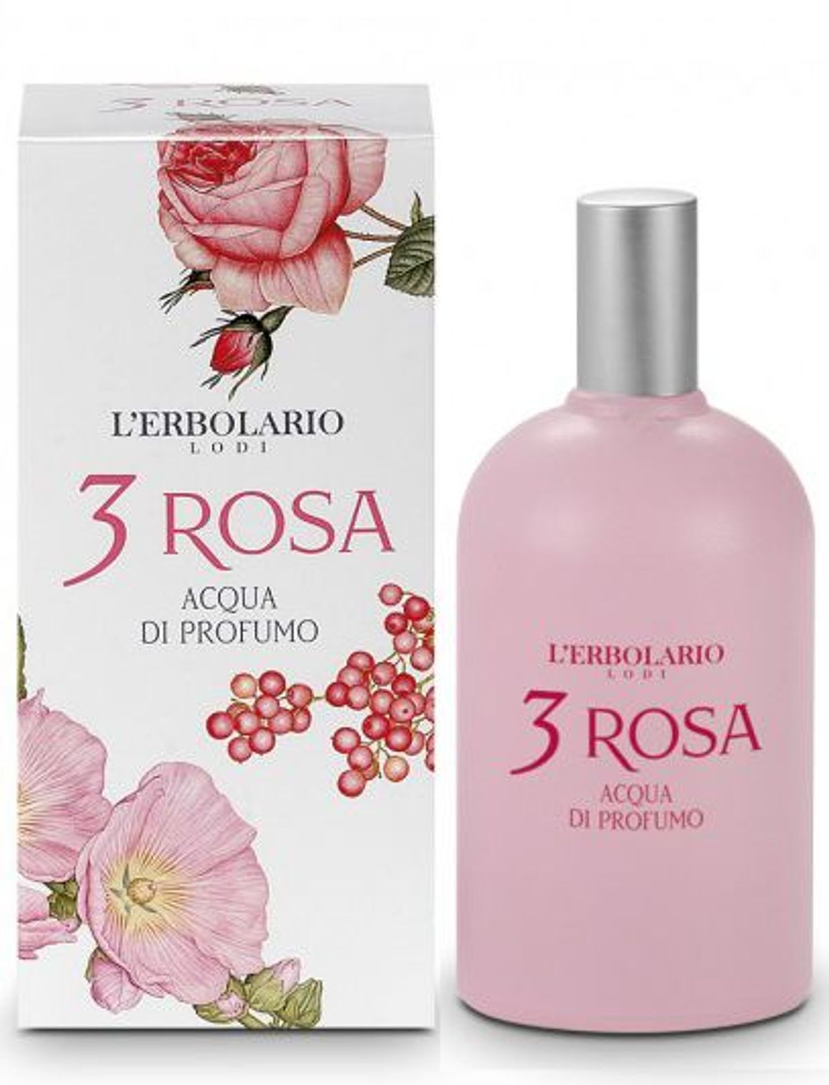 3 Rosa