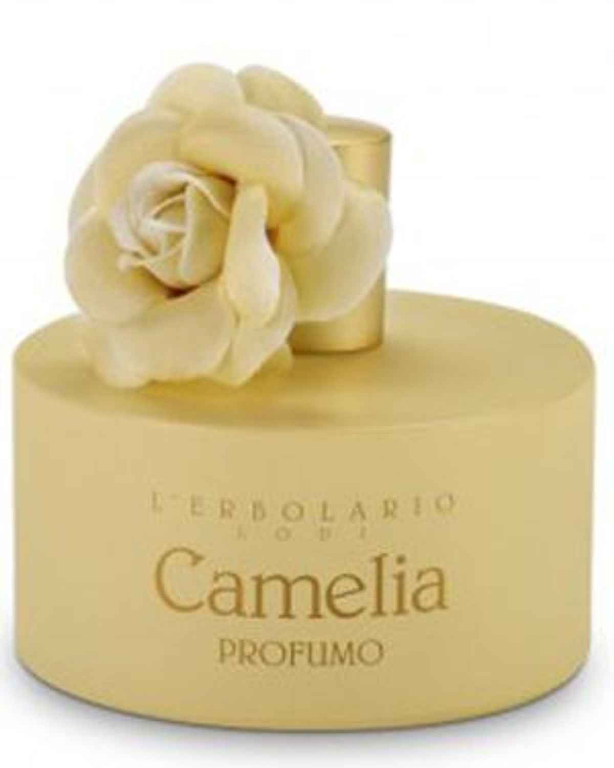 Camelia