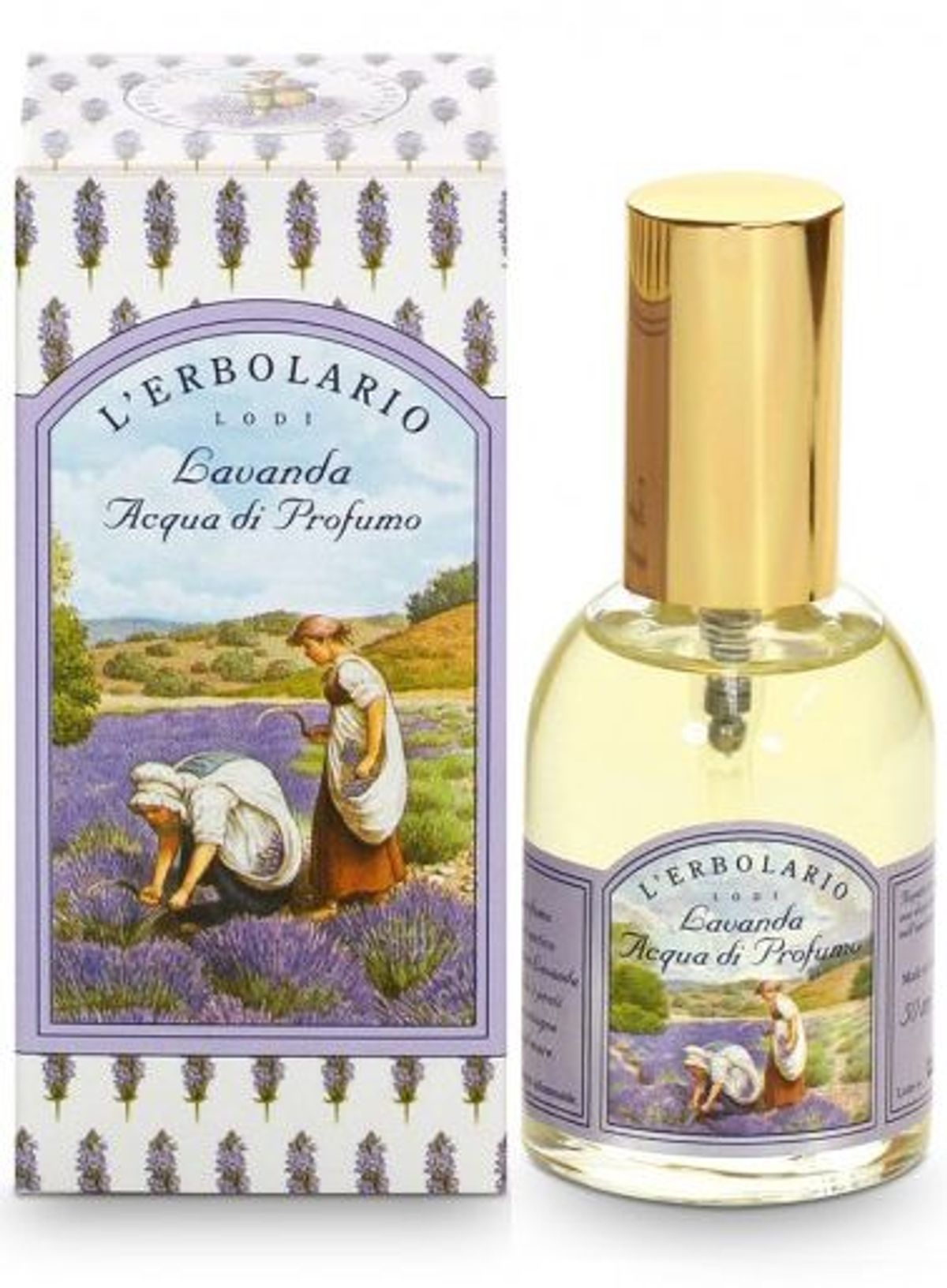 Lavanda