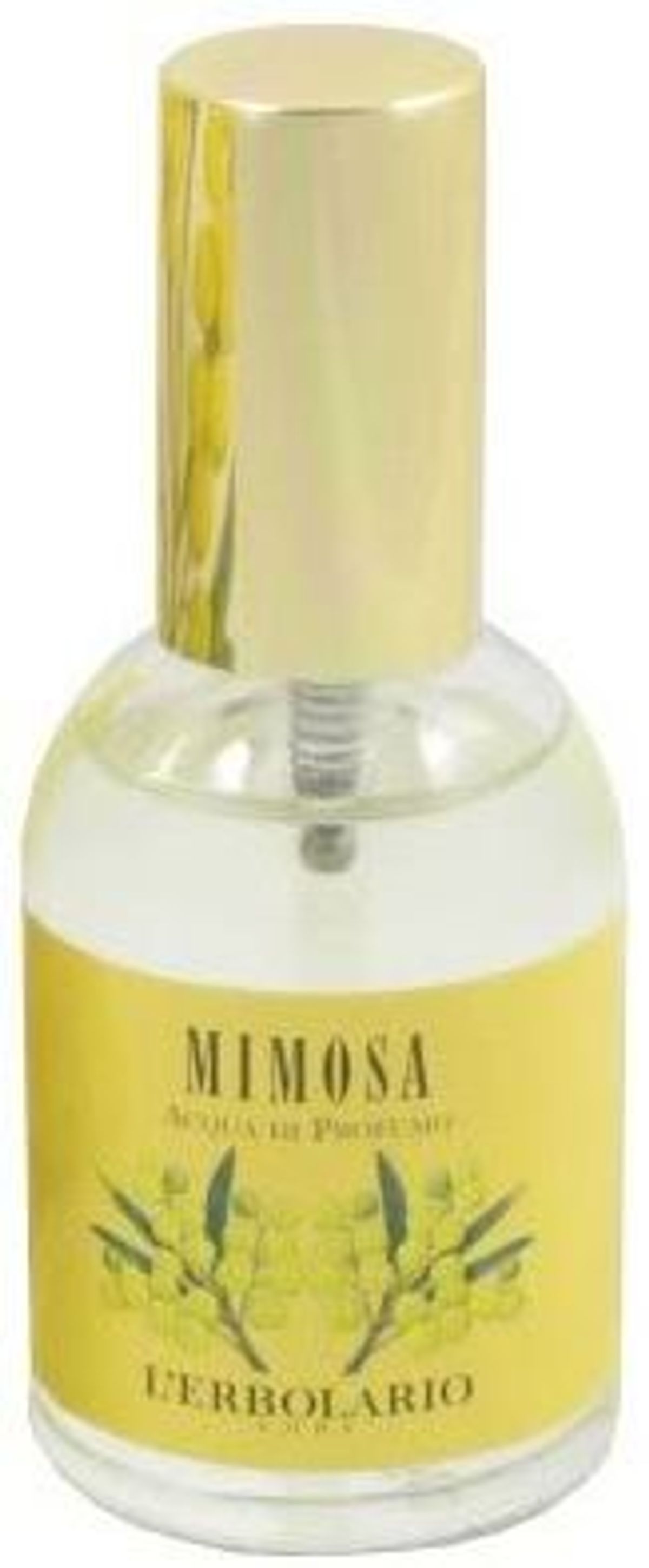 Mimosa