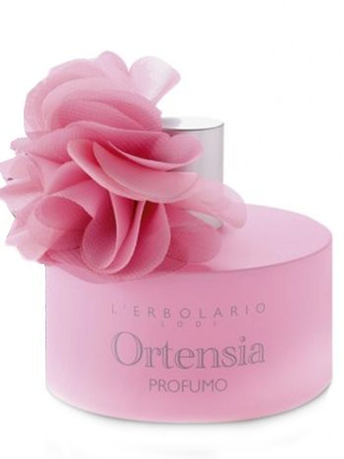Ortensia