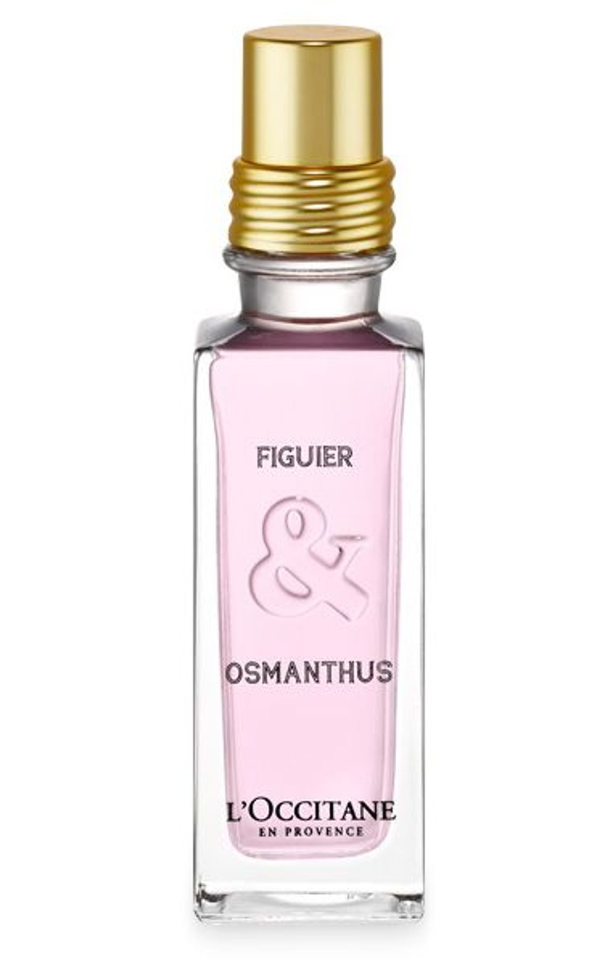 Figuier & Osmanthus
