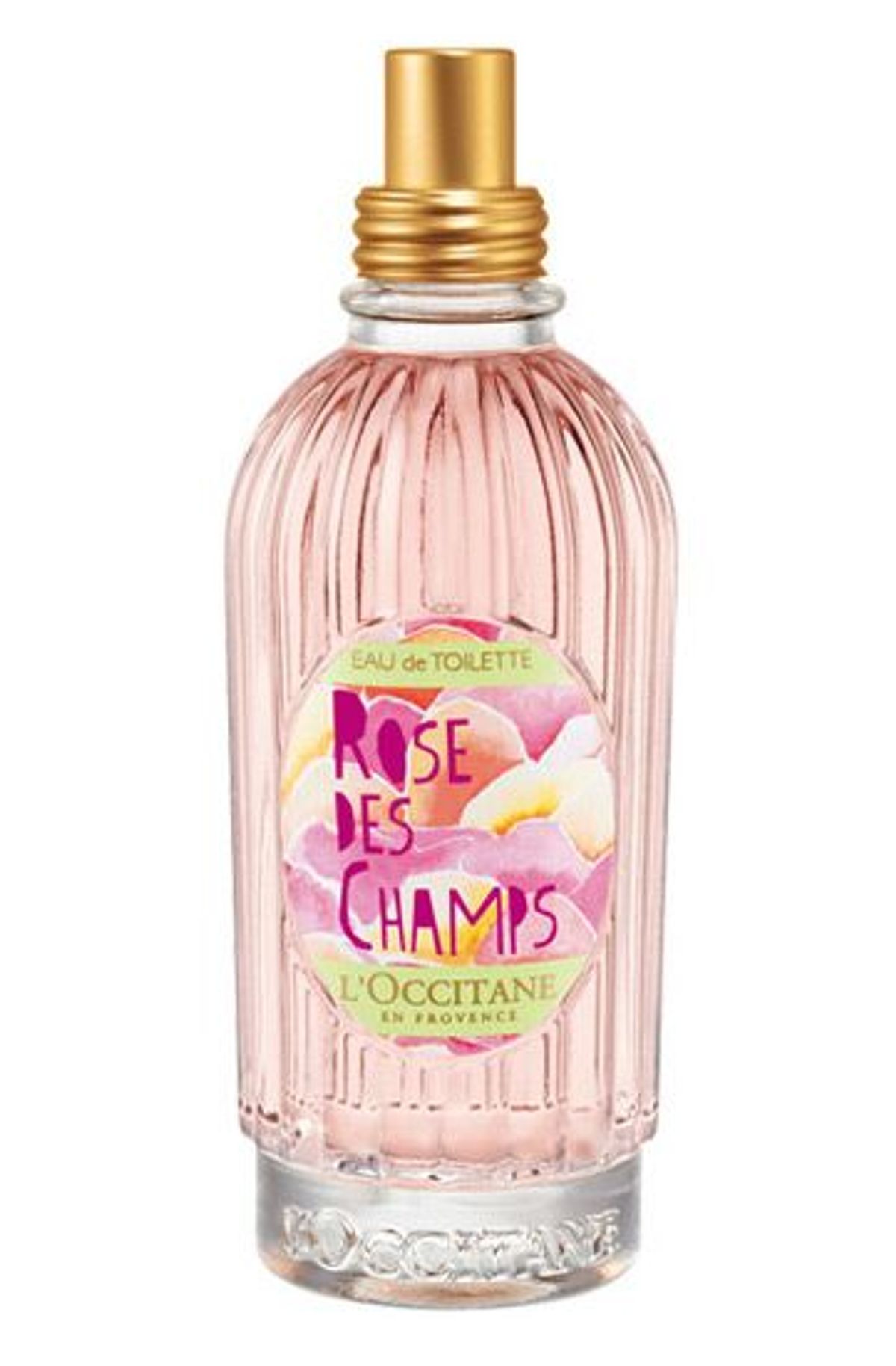 Rose des Champs