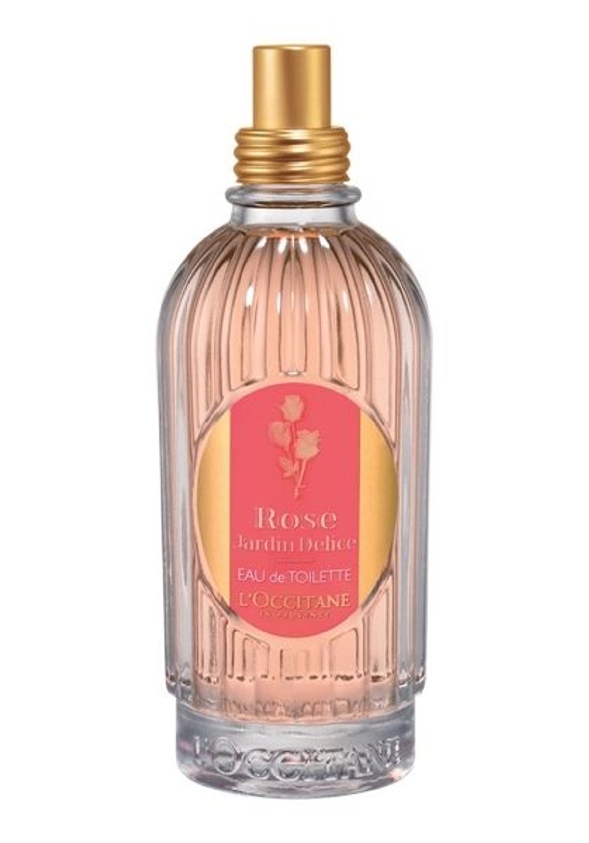 Rose Jardin Delice