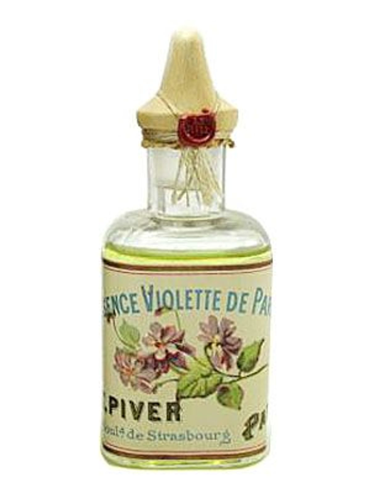 Violette de Parme