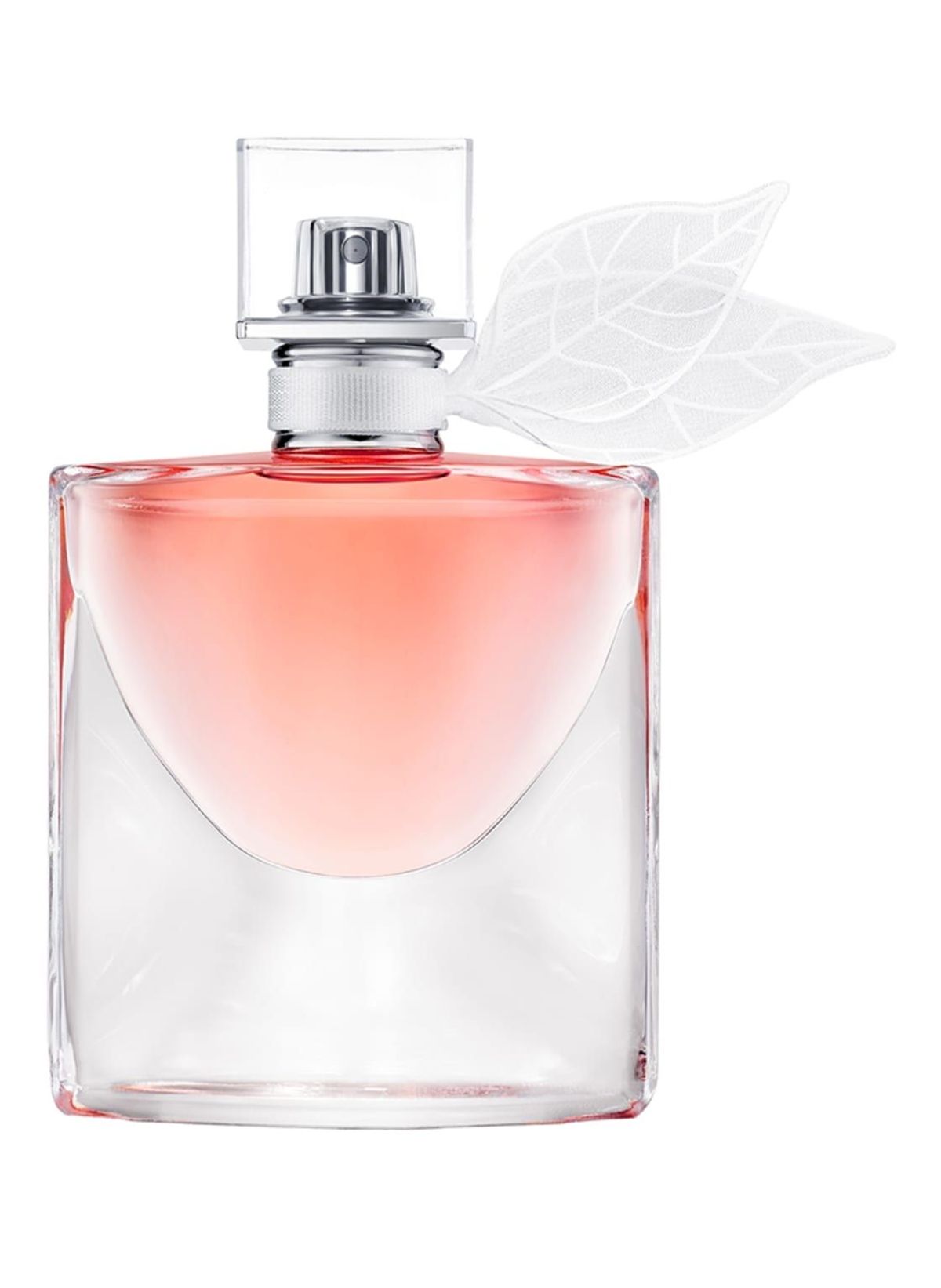 La Vie Est Belle Domaine de la Rose
