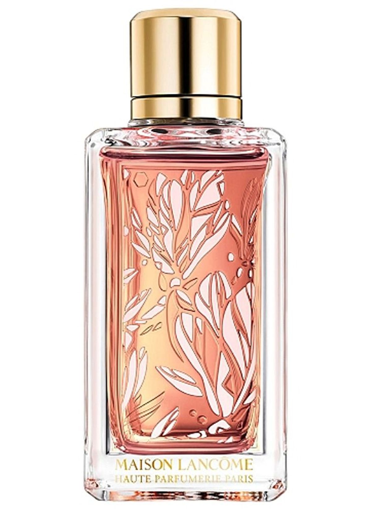 Magnolia Rosae