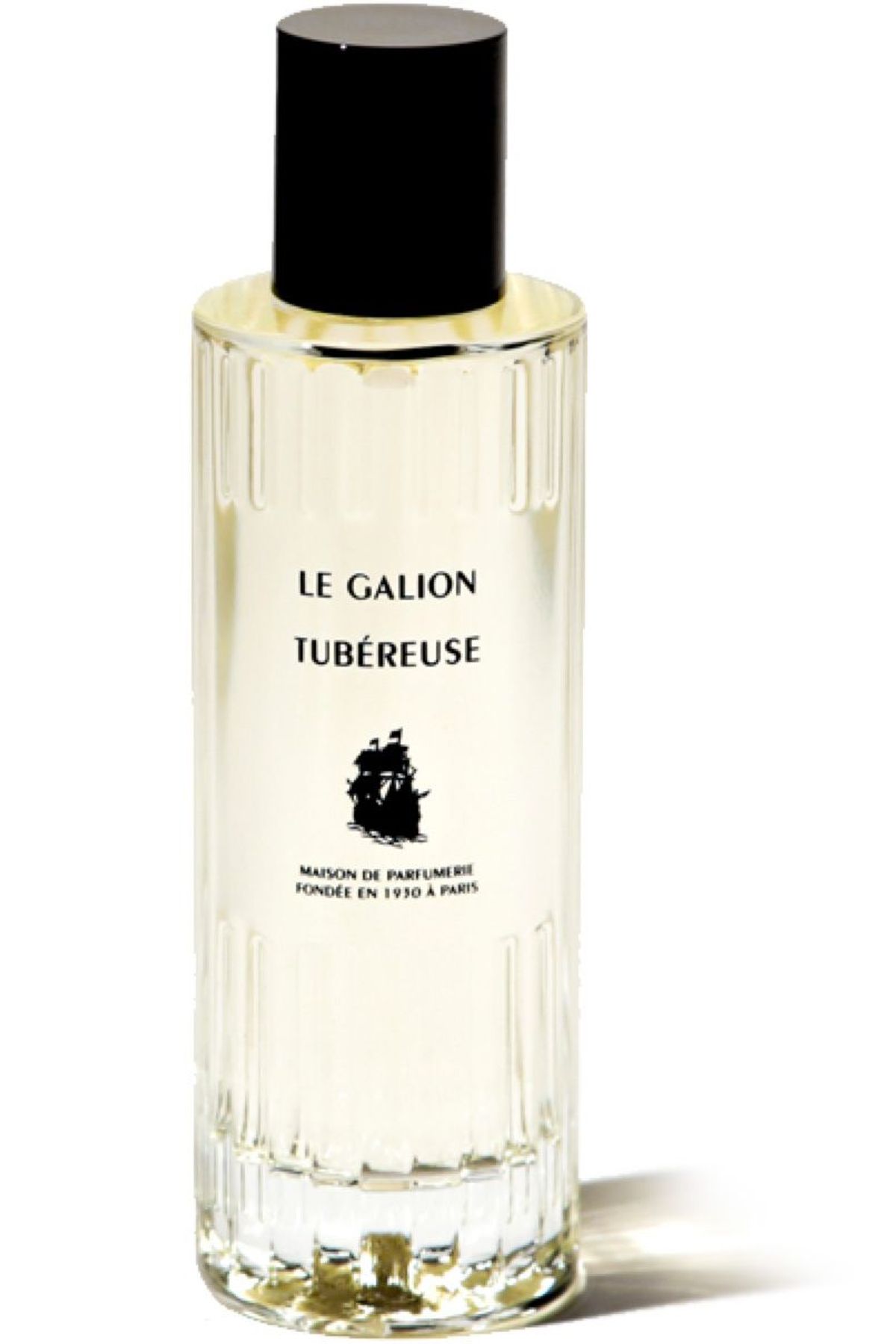 Tubereuse