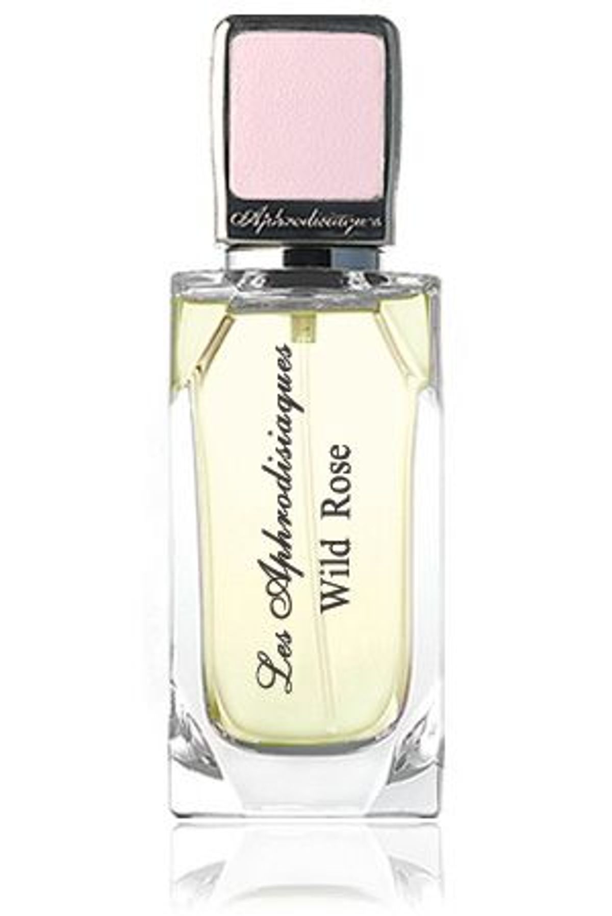 Wild Rose