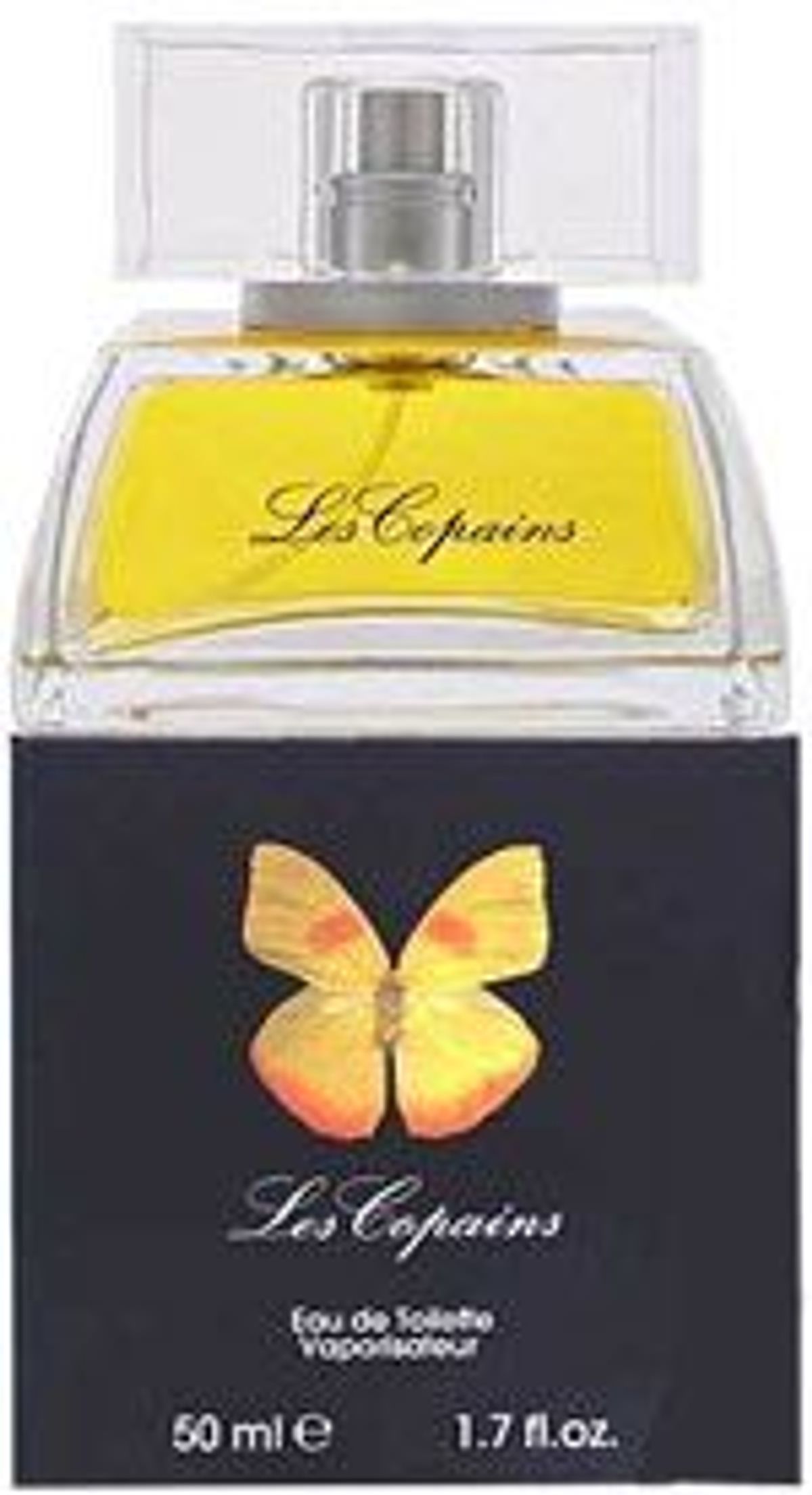 Papillon