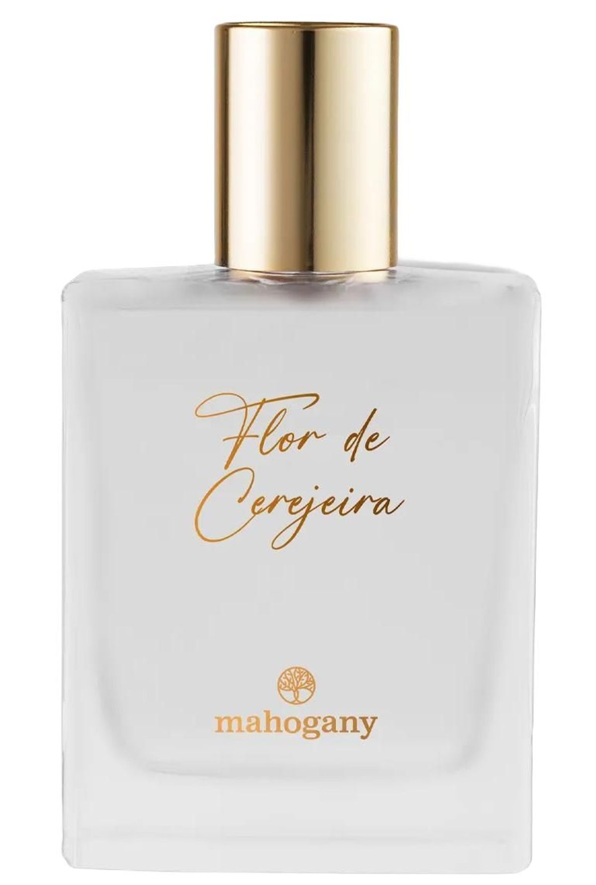 Flor de Cerejeira
