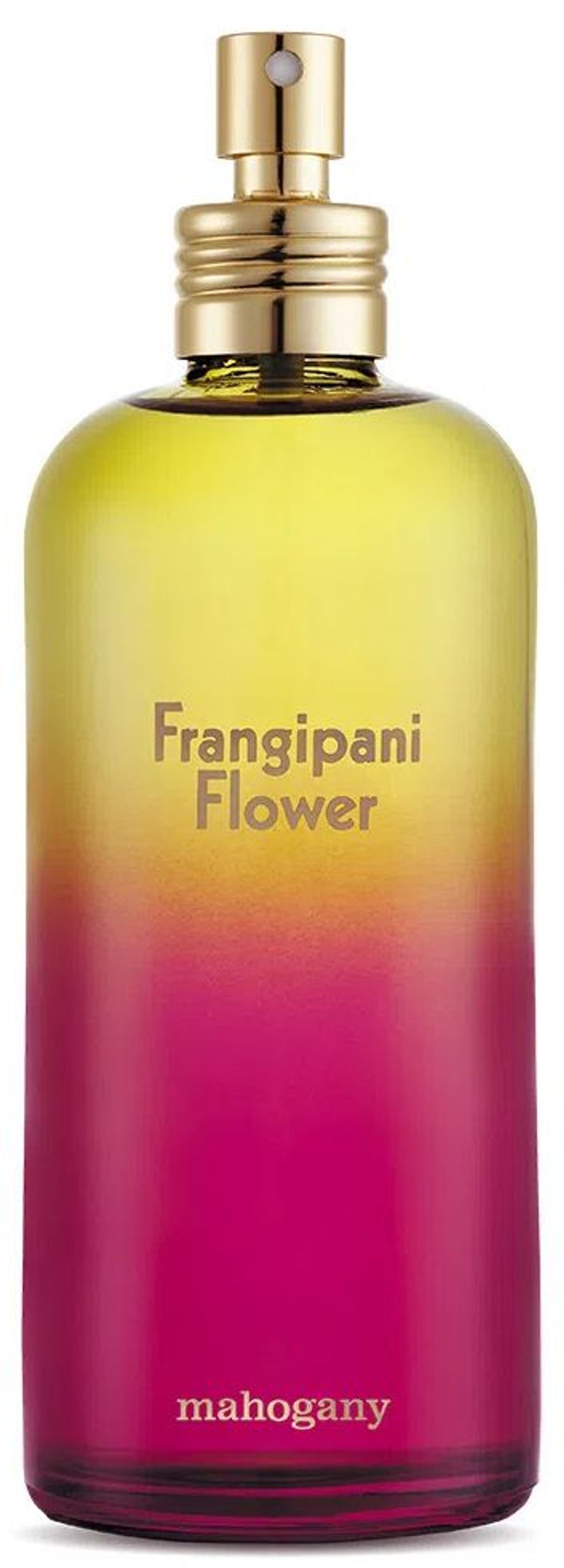 Frangipani Flower