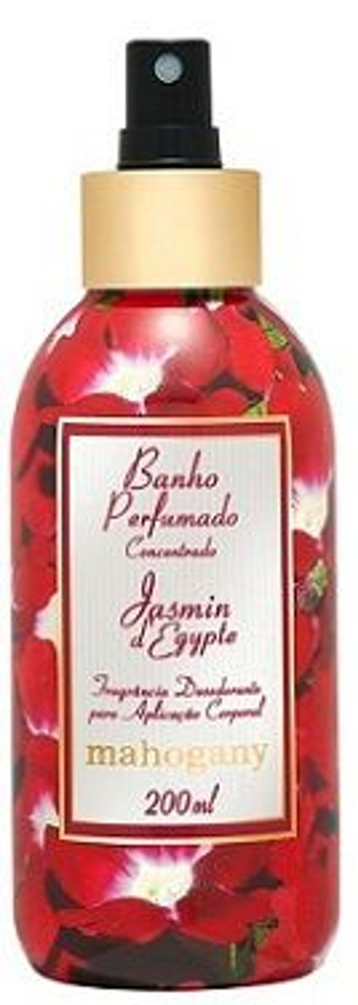 Jasmin D'Egypte