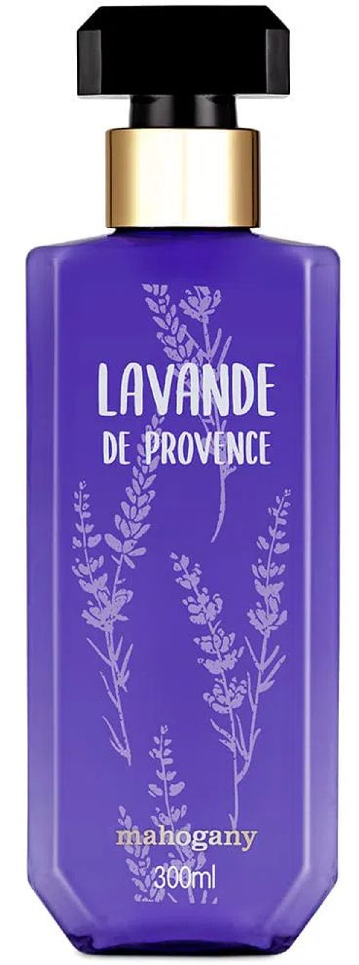 Lavande de Provence