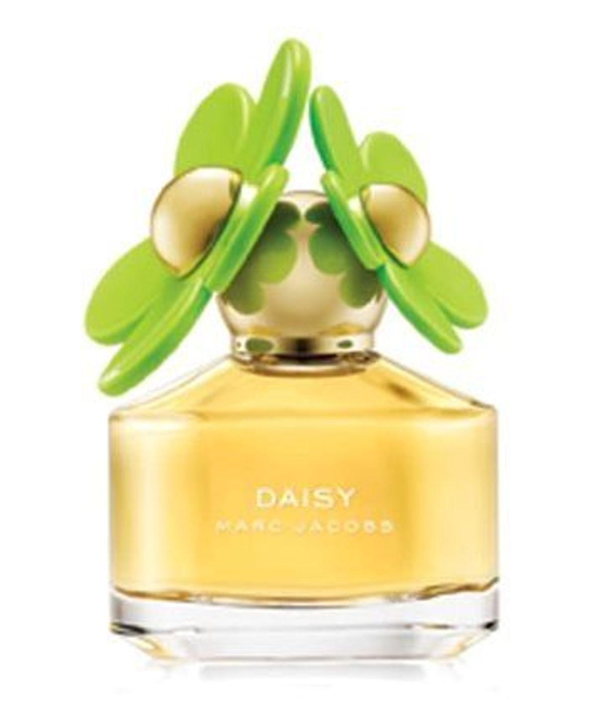 Daisy Bloom