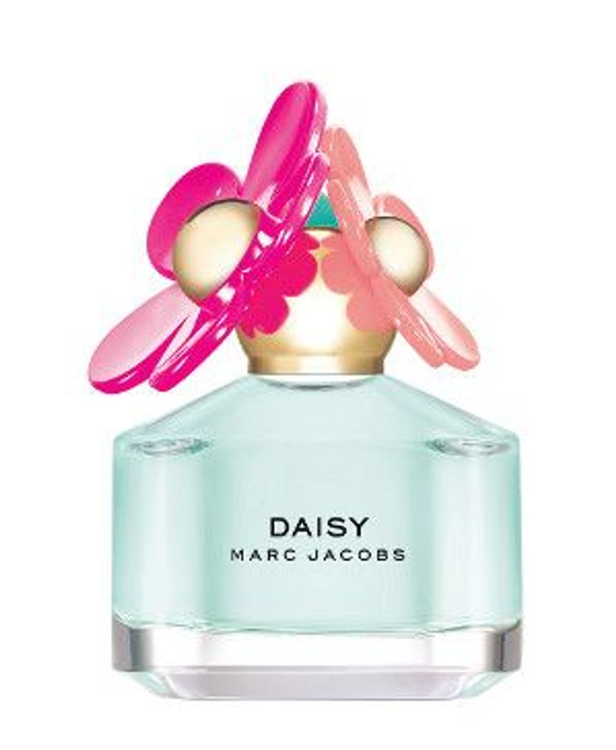 Daisy Delight