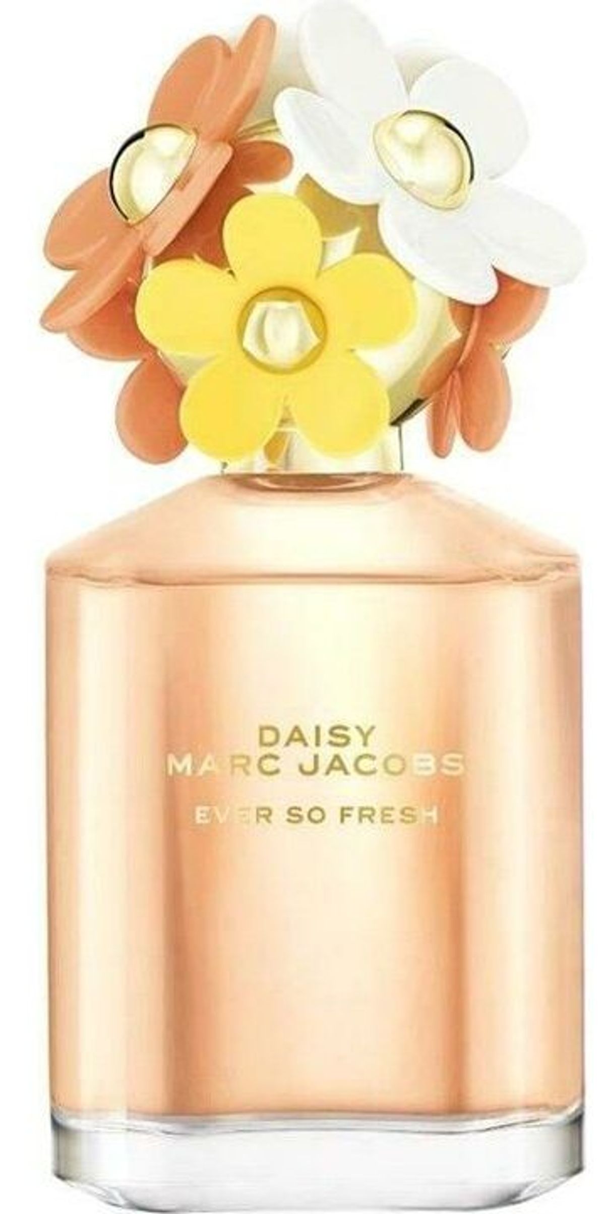 Daisy Ever So Fresh