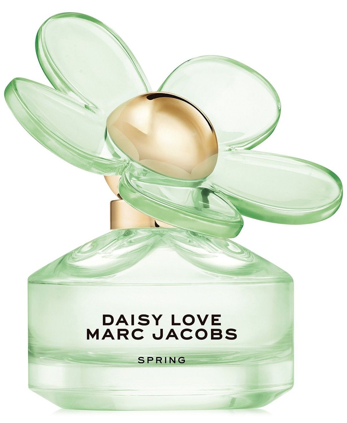 Daisy Love Spring