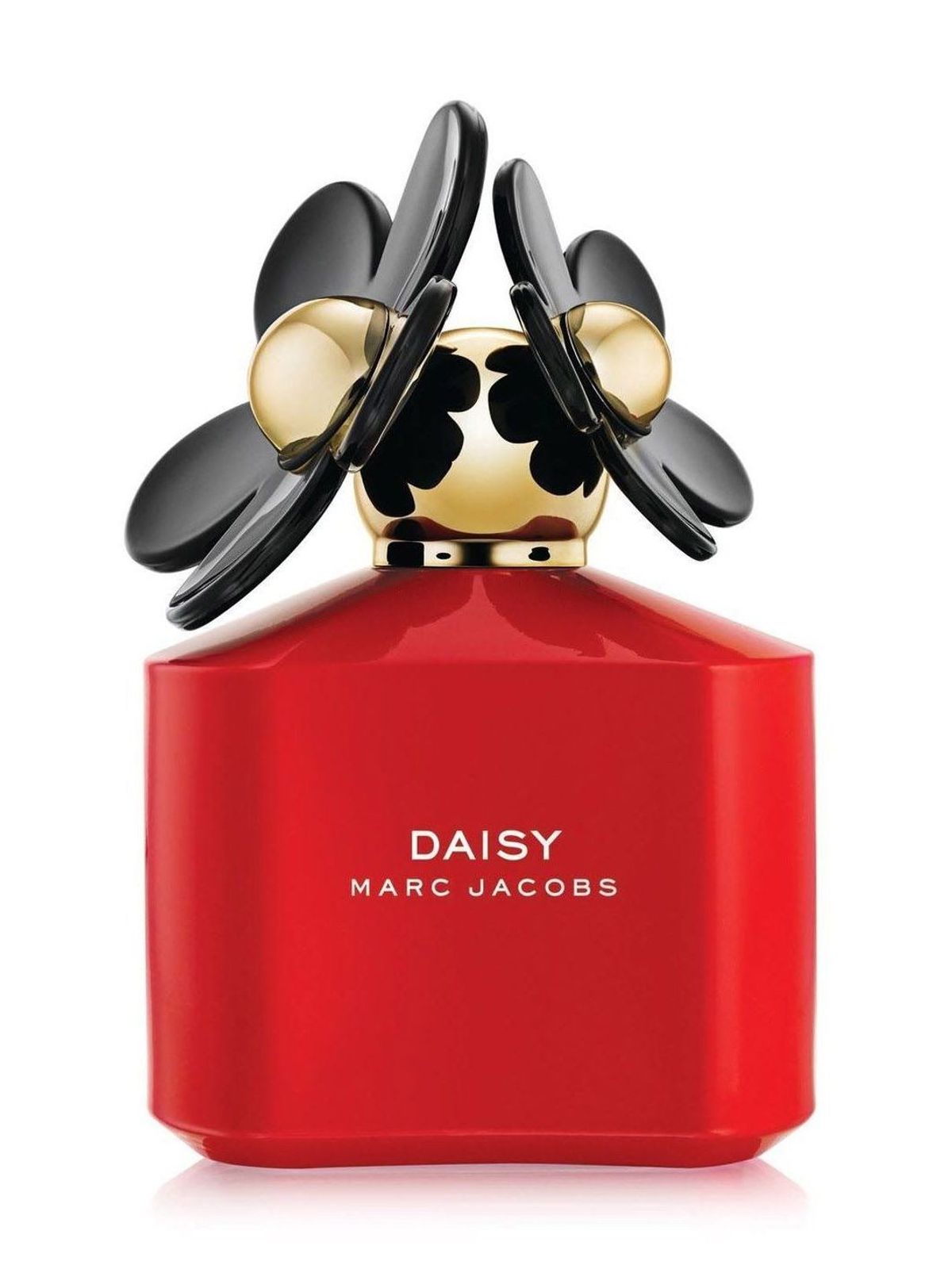 Daisy Pop Art Edition