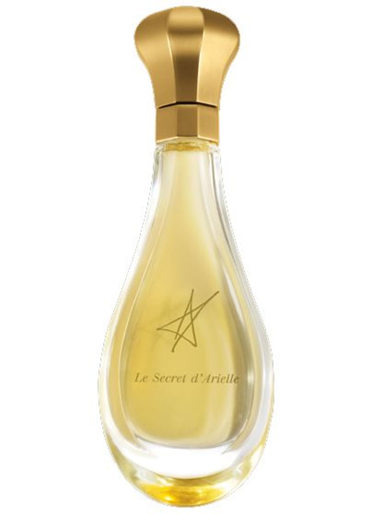 Le Secret d'Arielle Extrait