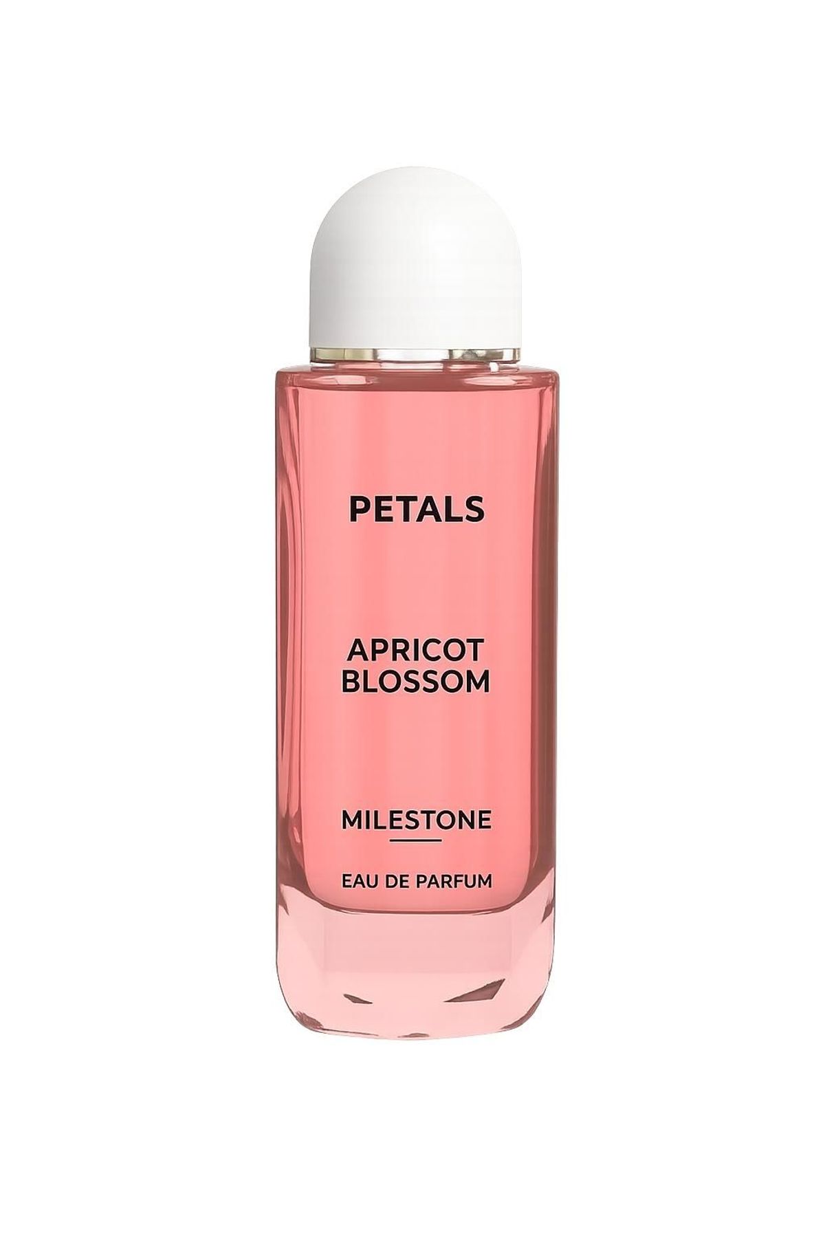 Petals Apricot Blossom