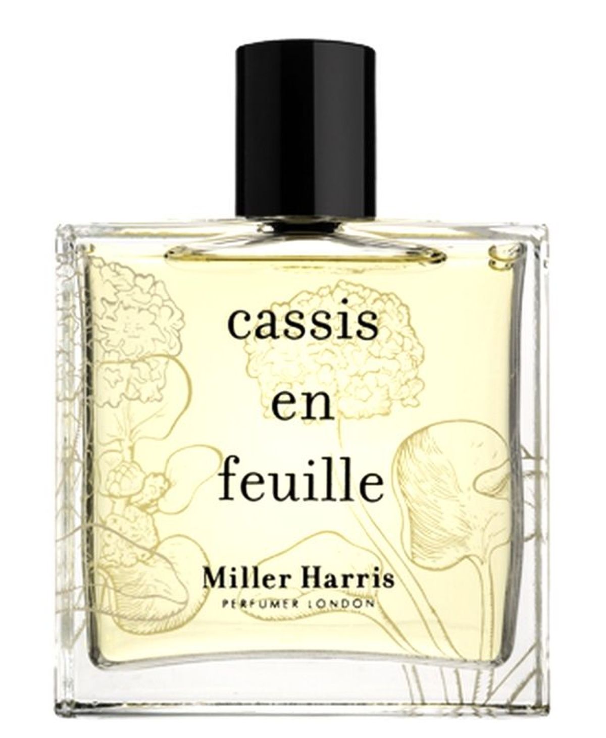 Cassis en Feuille