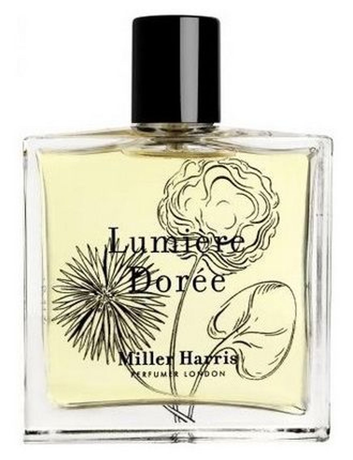 Lumière Dorée