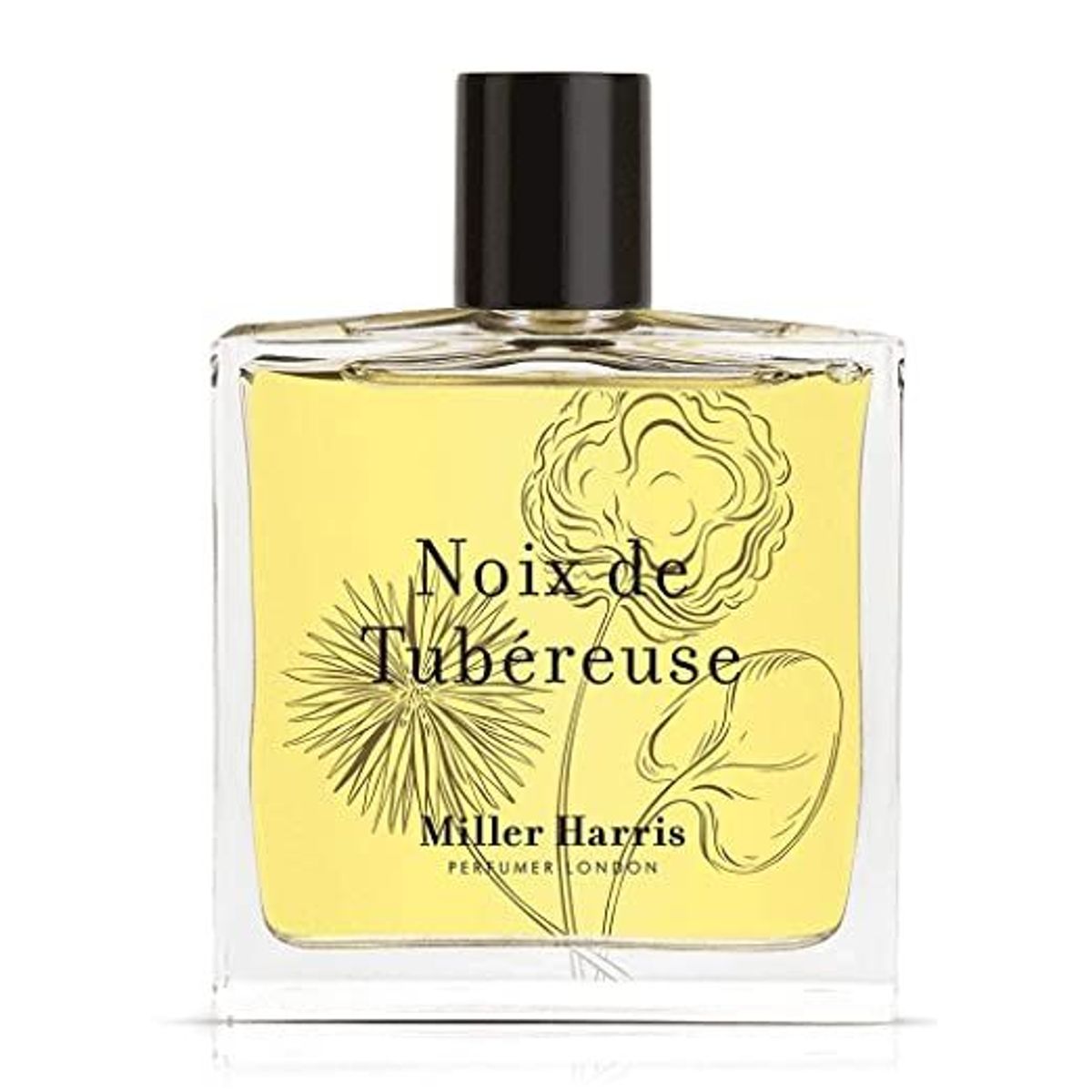 Noix de Tubereuse