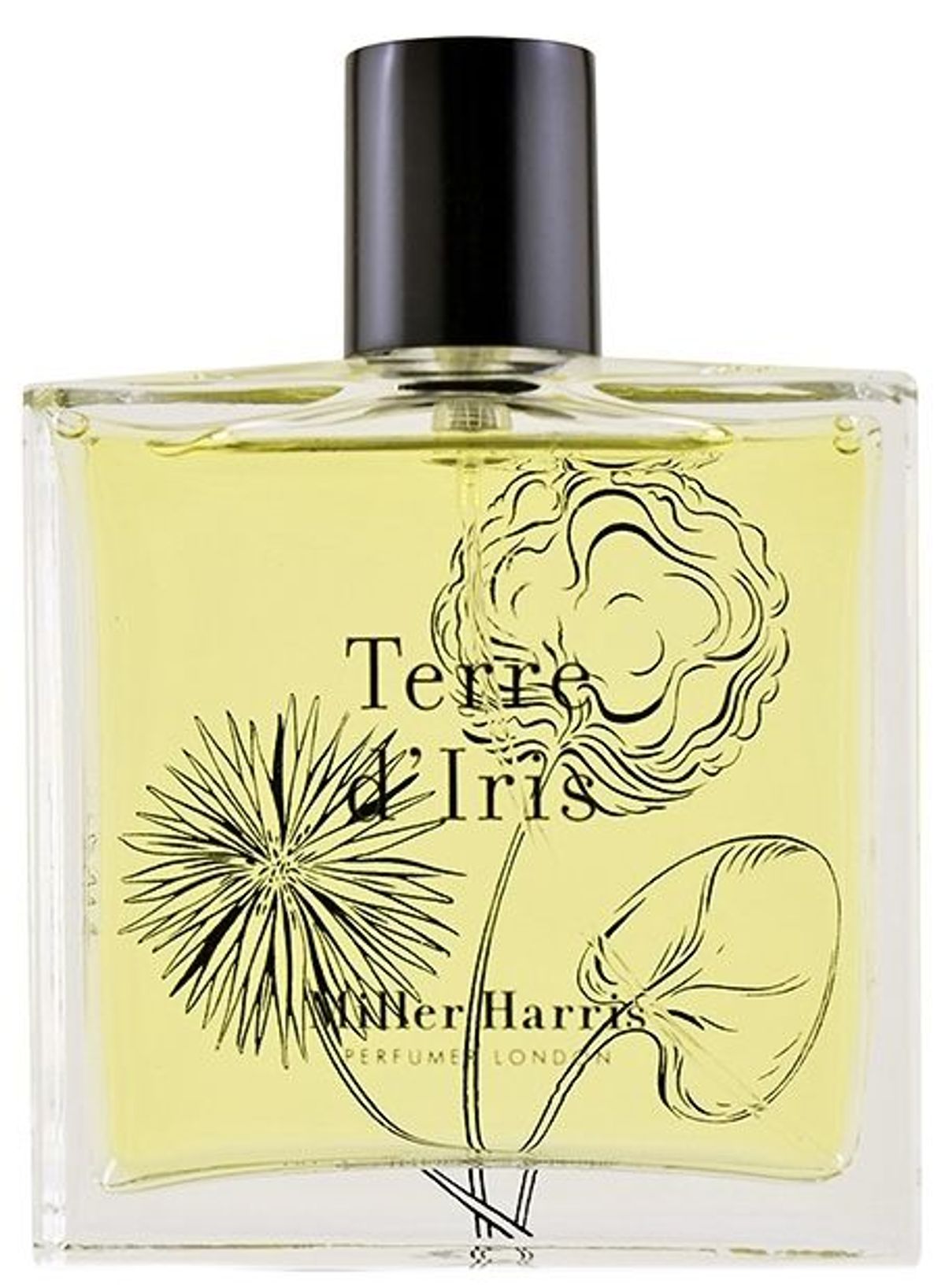 Terre d'Iris