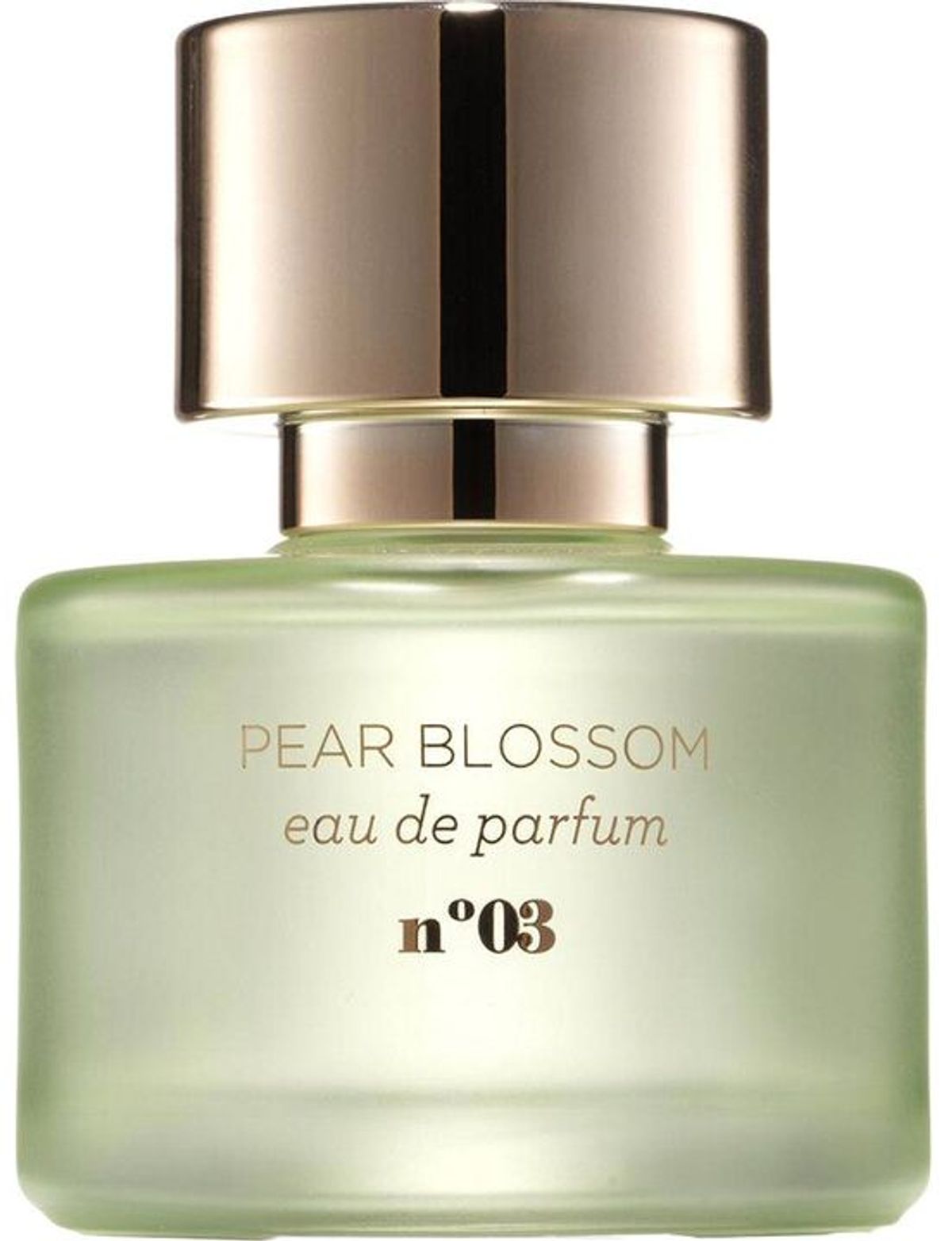 Pear Blossom