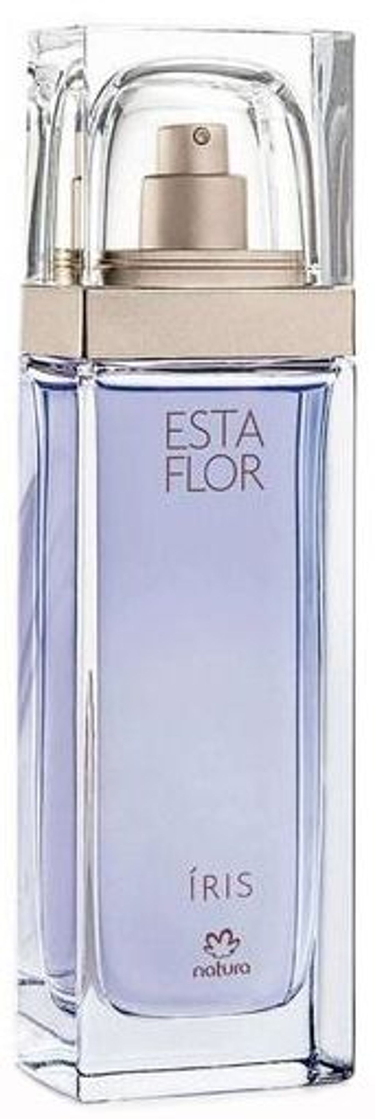 Esta Flor Íris