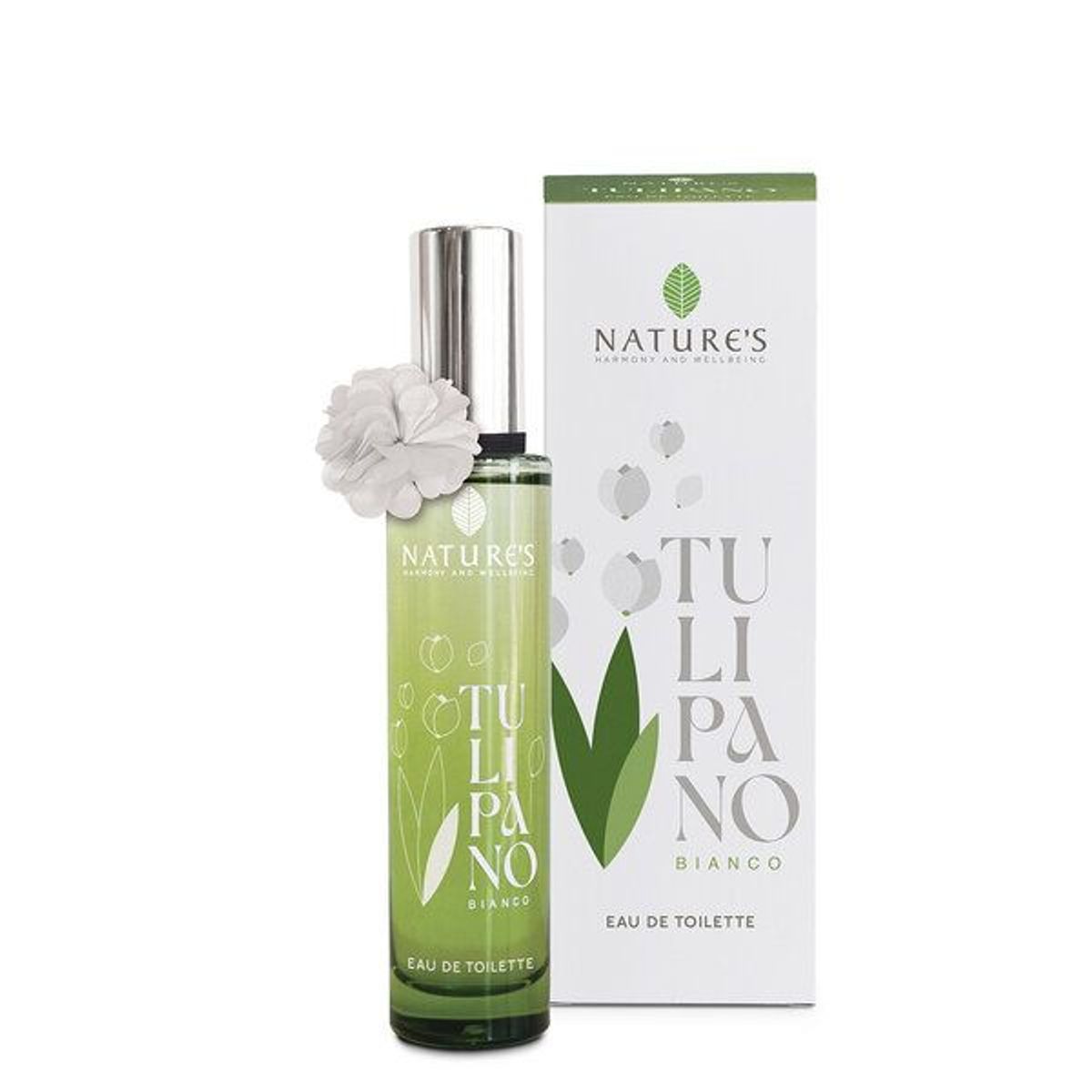 Tulipano Bianco