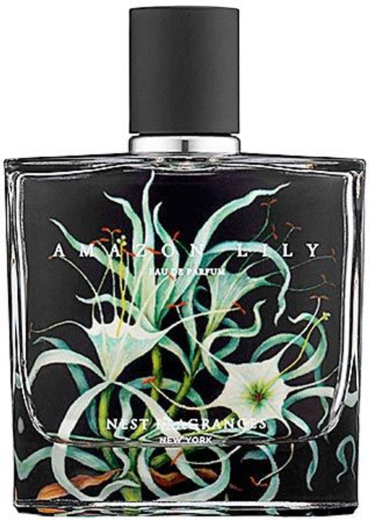Amazon Lily