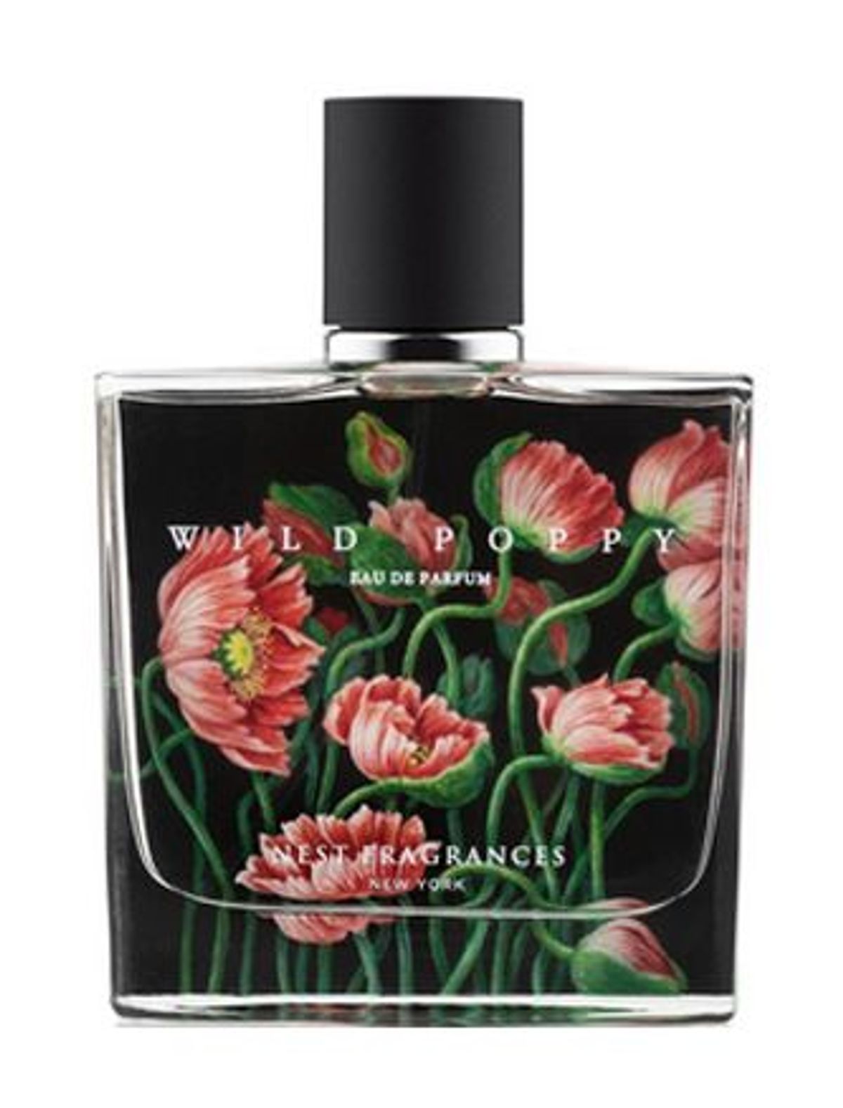 Wild Poppy