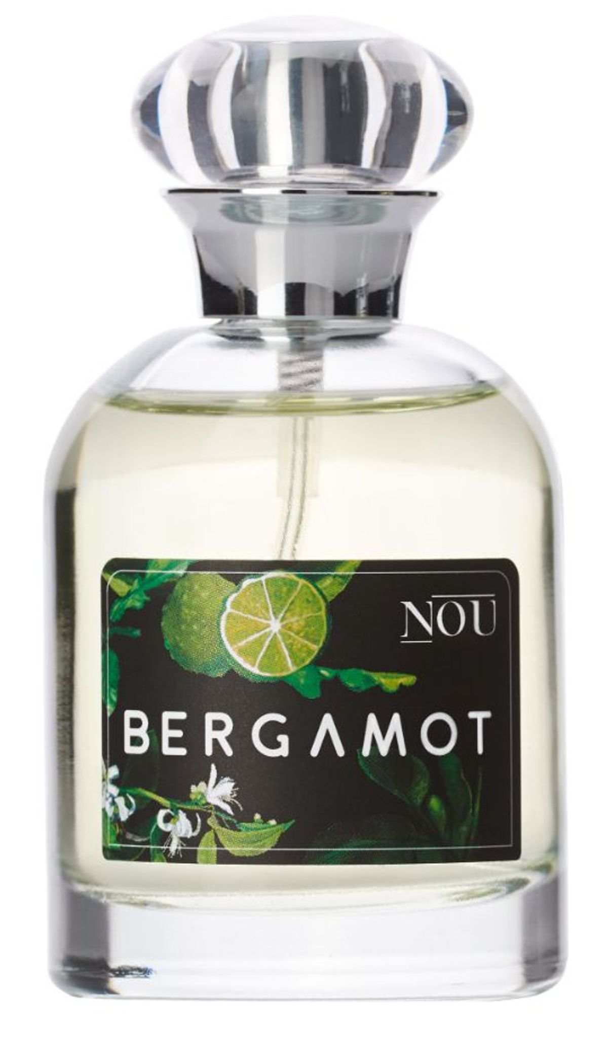 Bergamot